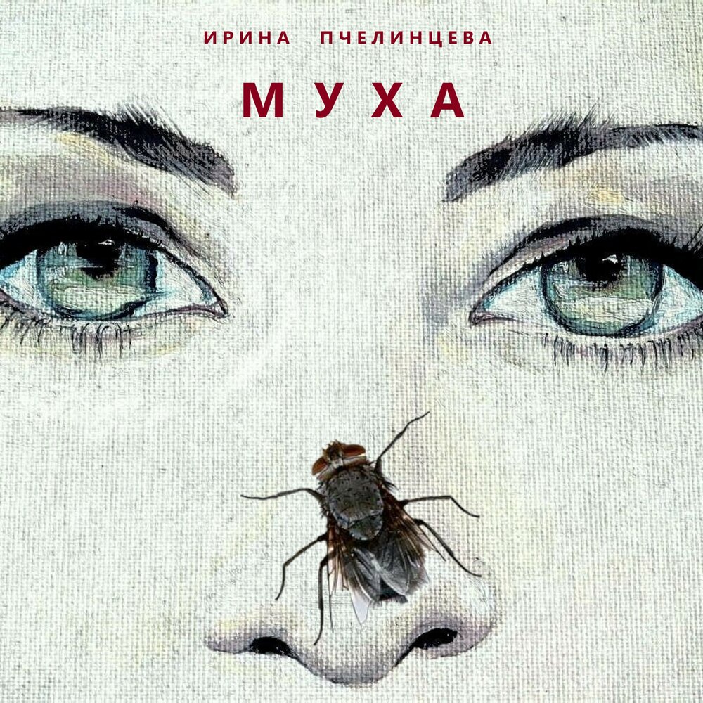 Песня муха. Альбом для мух. Песня мухи. Мухи на обложке музыкального альбома. Музыкальный альбом мухи и мужик.