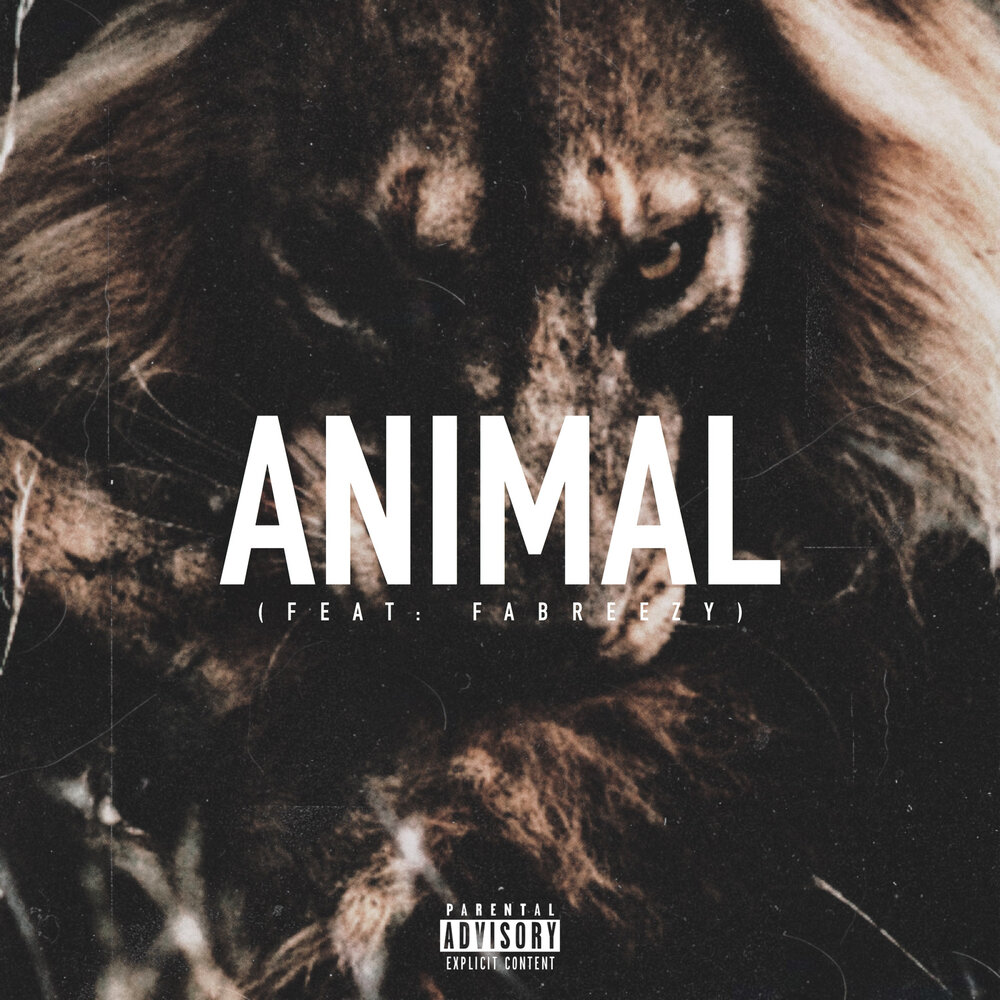 Альбом animals. The animals album.