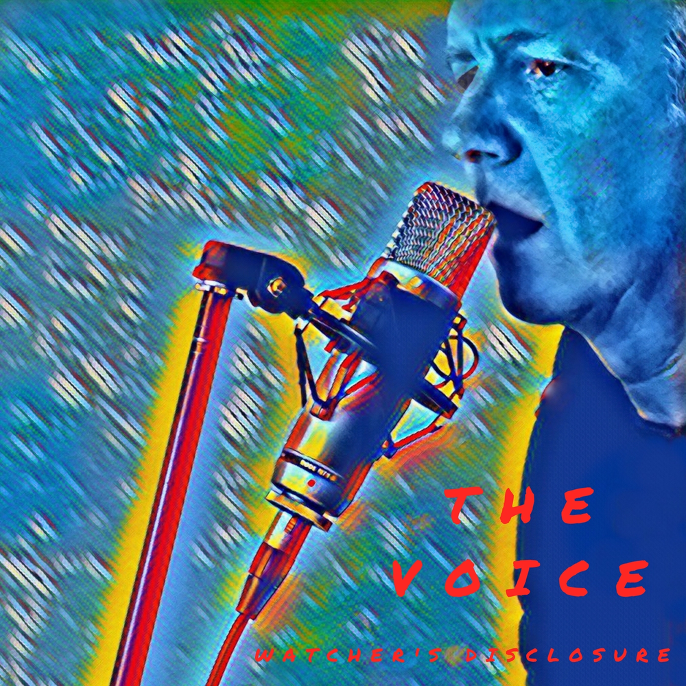 Joy voice. Voice israel для голоса таблетки птичка. Джой payday 2. Lili joy часы. Joy voice.