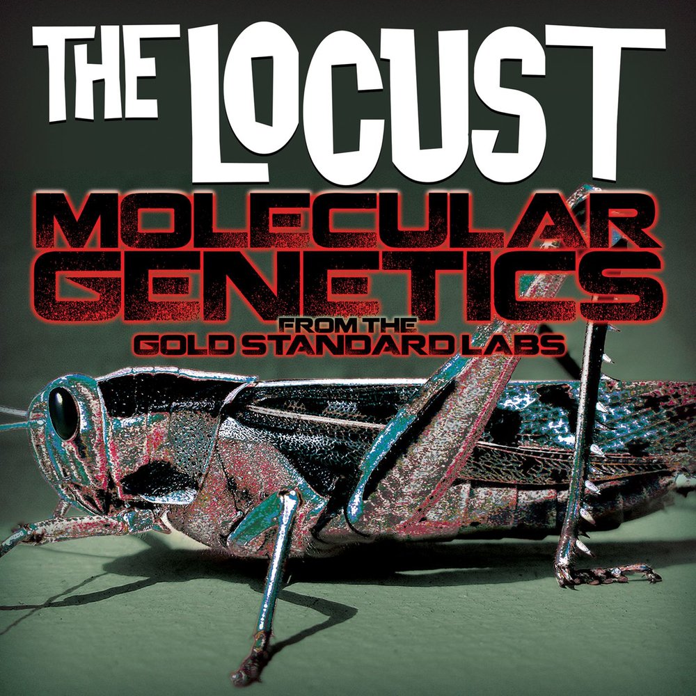 the locust complete discography torrent