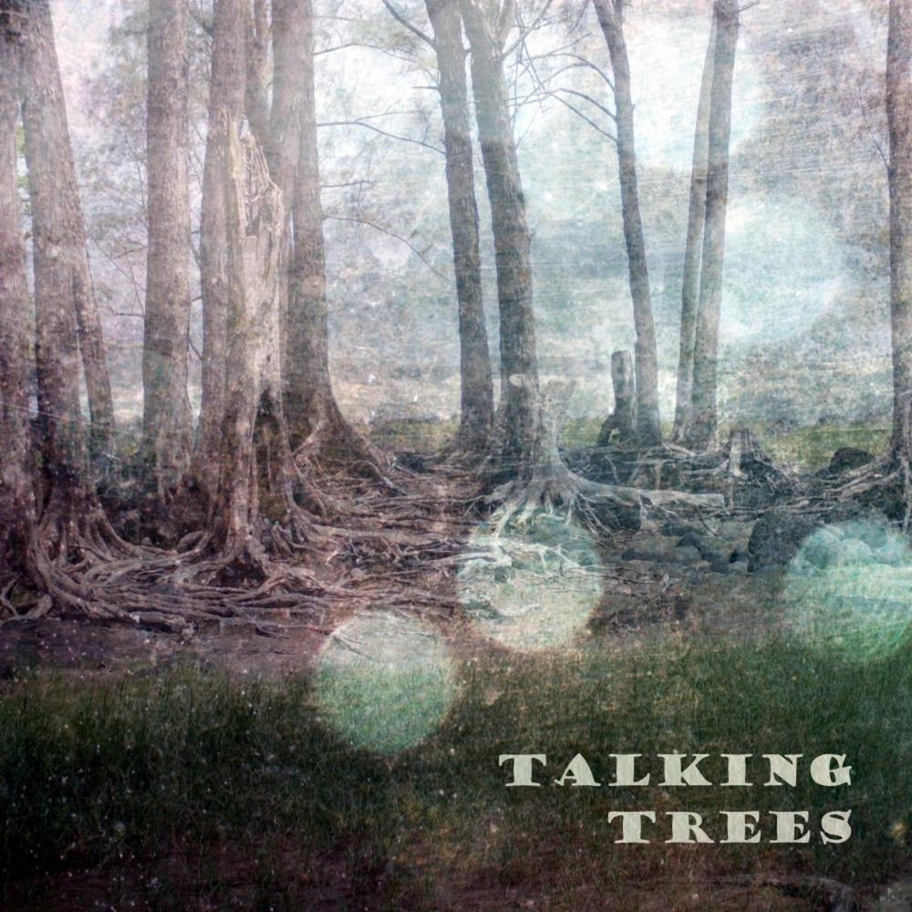 Can trees talk