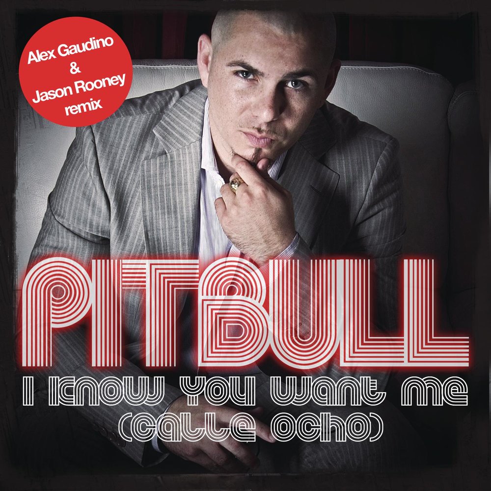 Pitbull i know