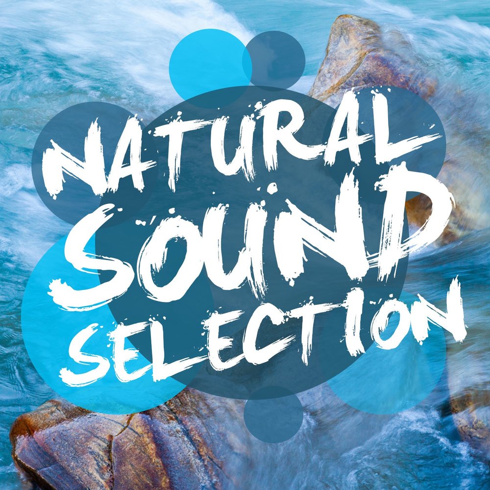 Naturals sounds. Natural Music.