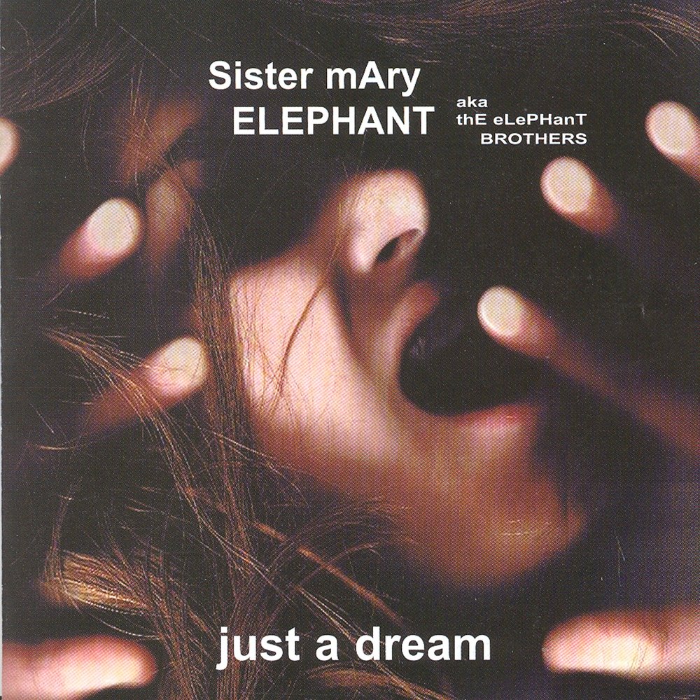 Sister elephant. Песня sister. Elephant "just Tonight". Elephant Spotify. Dominique sister Mary.