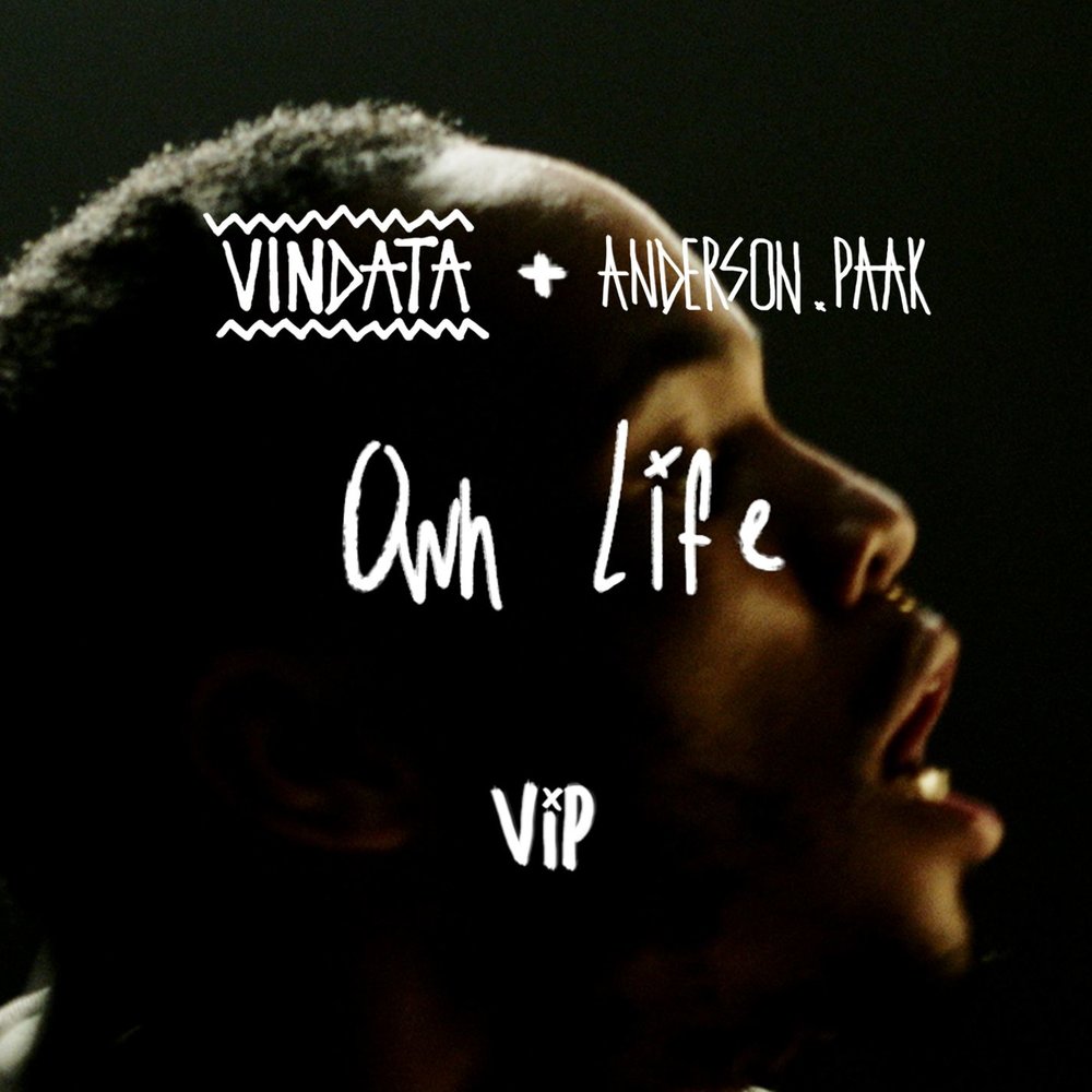 Vindata - own Life. Still Life RM & Anderson Paak. Song still Life RM & Anderson Paak. My own life