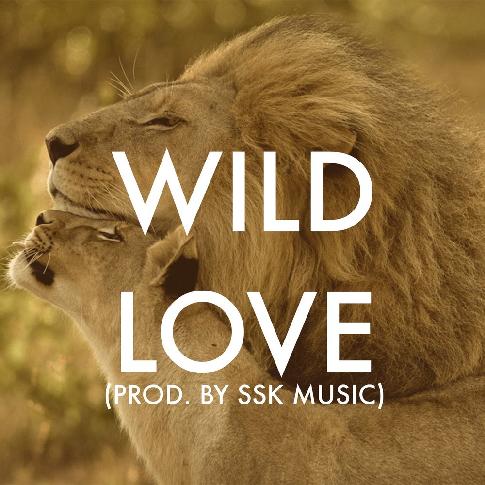Wild Love SSK Music слушать онлайн на Яндекс Музыке.