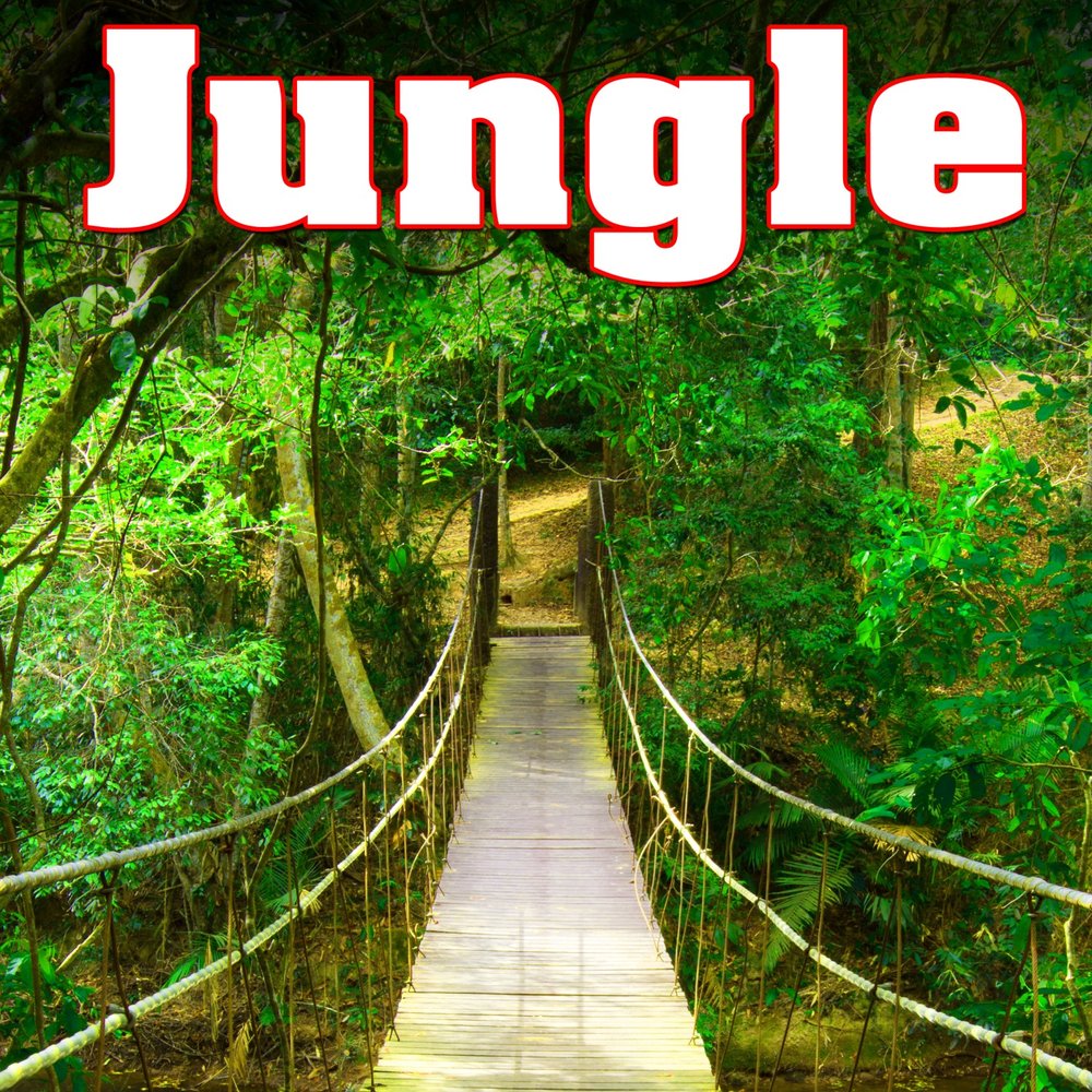 Jungle love. Надпись джунгли. Jungle музыкальный стиль. Джунгли обложка для трека. Джангл трек.