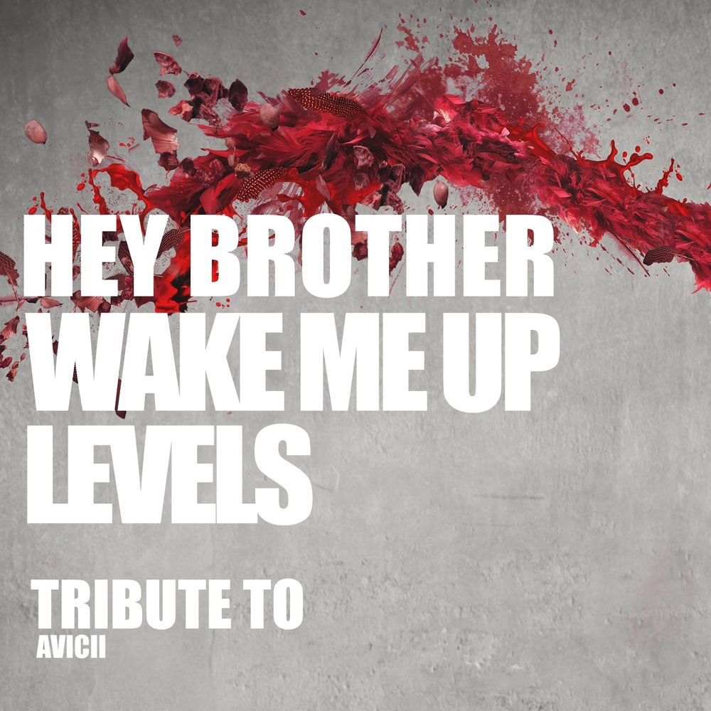 Hey brother. Wake me up - Avicii обложка альбома.