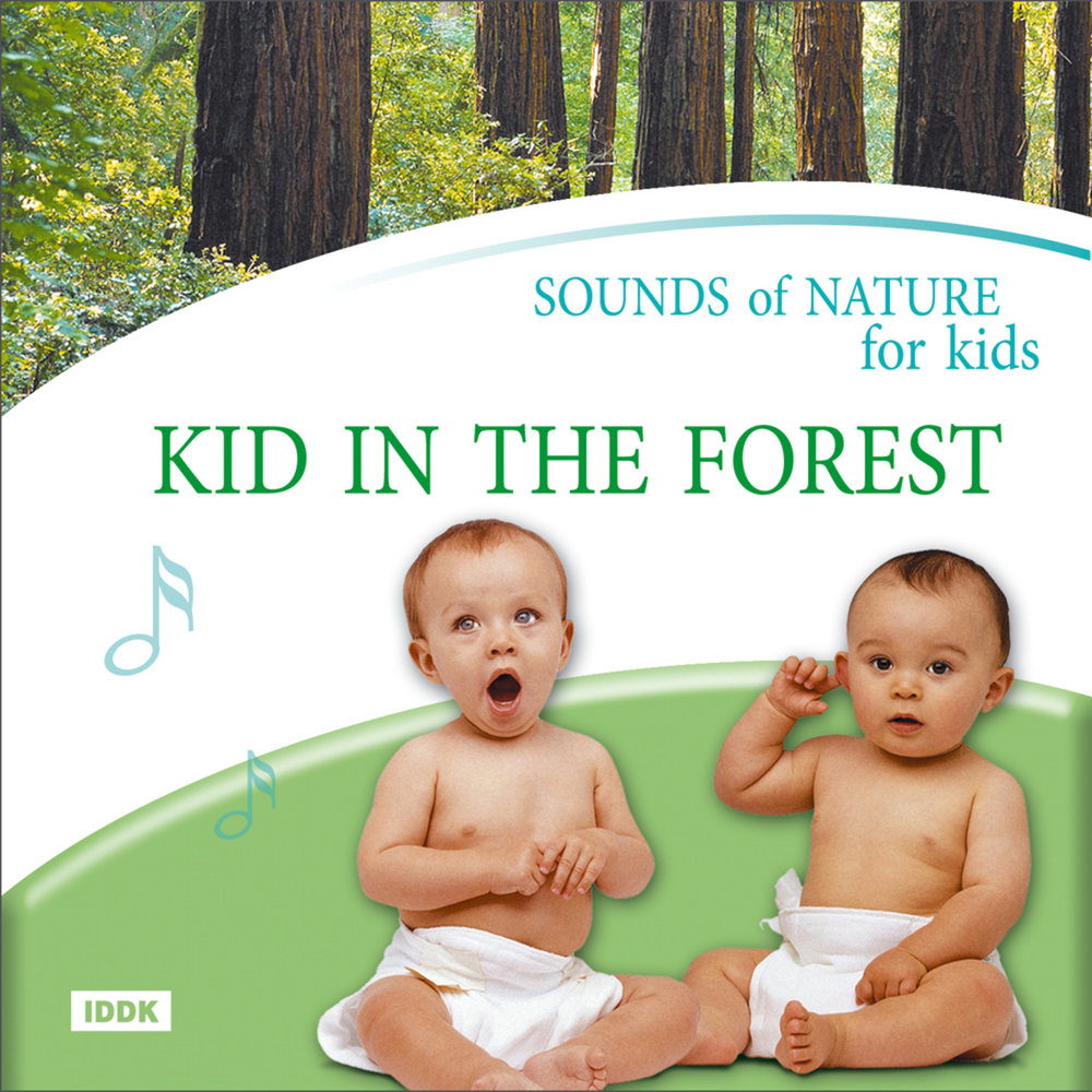 Давайте звуки природы. Звуки природы для детей. Диск звуки природы для детей. Звуки природы для новорожденных. Звуки природы игры для детей.
