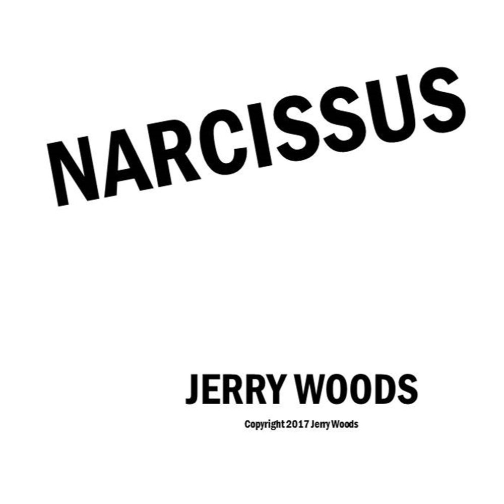 Нарцисс песни слушать. "Jerry Woods"+"North Webster".