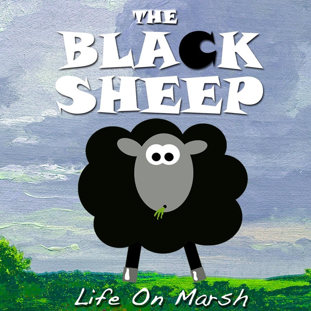 Black sheep. Black Sheep Song. Black Sheep перевод. Be the Black Sheep.