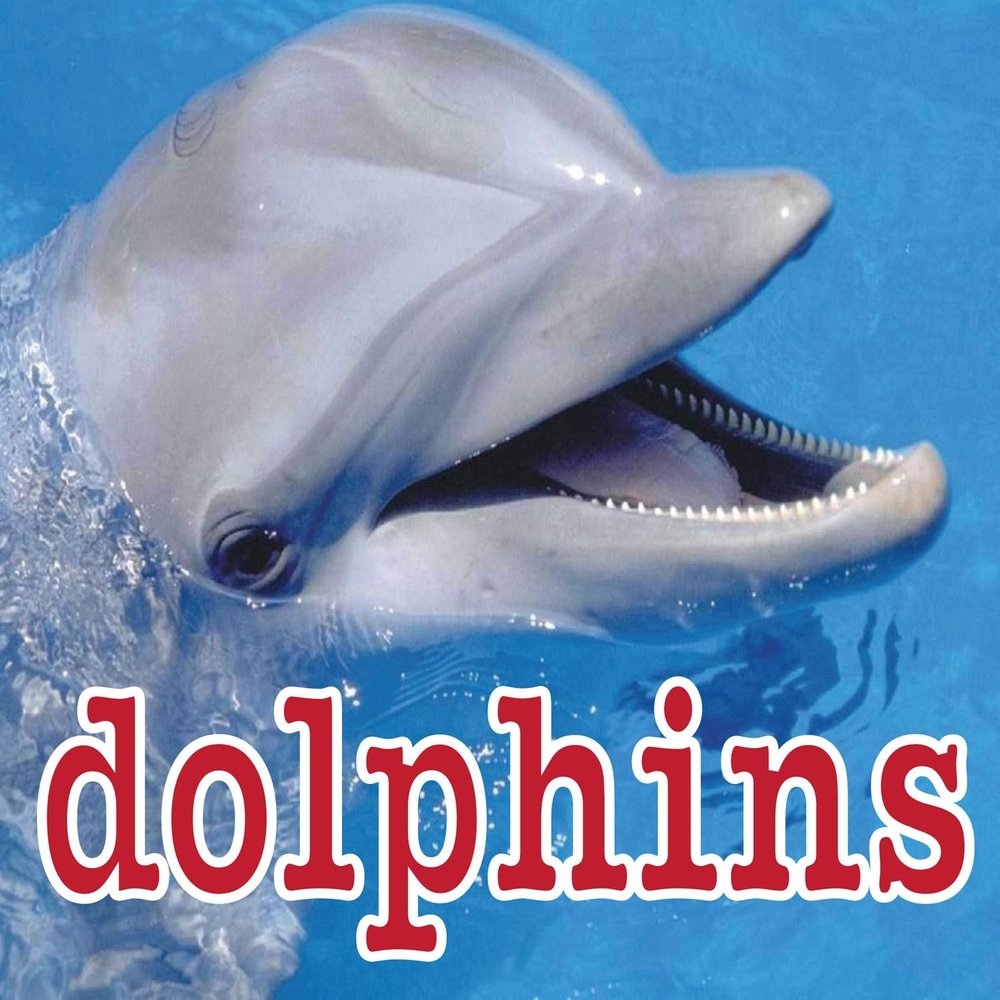 Дельфин какой звук. Дельфин альбомы. Альбом Дельфинчик. Дельфин песни. Дельфин Singles.