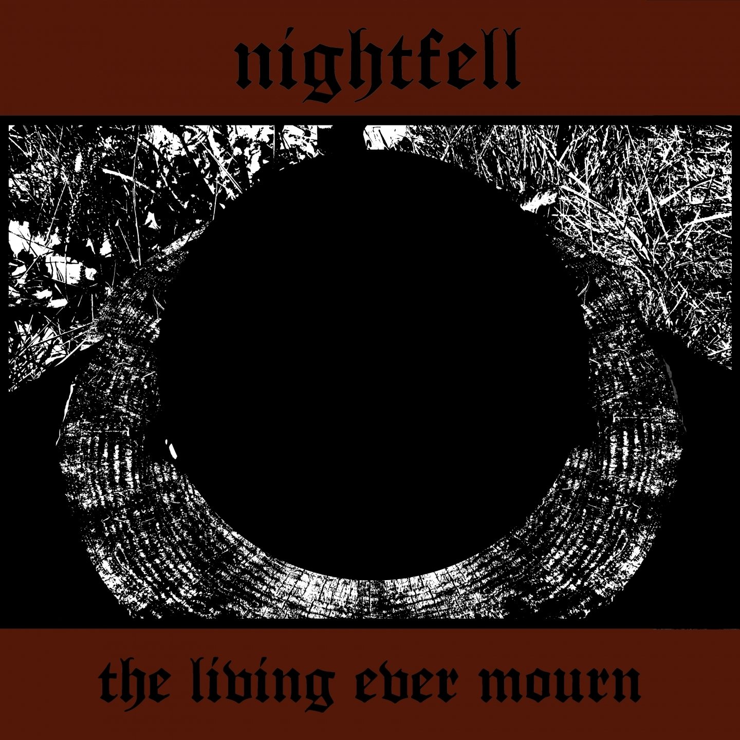 Фотография Nightfell