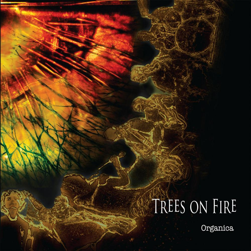 Fire wake. Tree on Fire. Krusifire обложка. Earth and Fire альбомы обложки. Into the Fire.