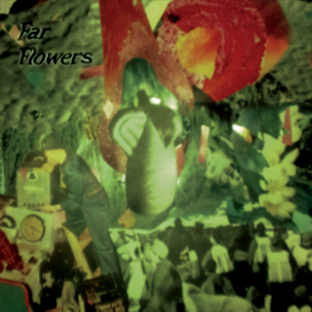 Far flowers