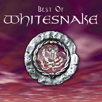 Whitesnake is this love