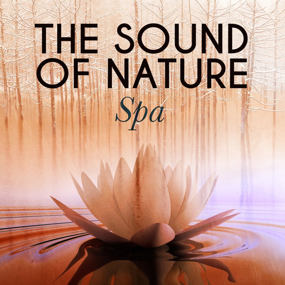 Sounds of nature. Nature with Sounds. Natural Sounds.