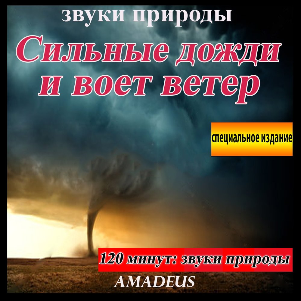 Звучание ветра. Звуковой ветер. Звуки природы ветер.