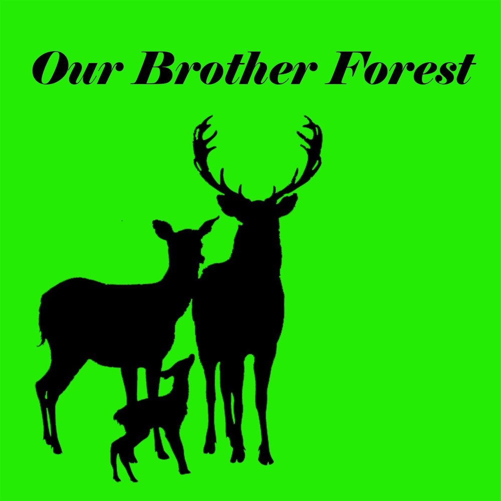 Forest brothers. Our Paradise.