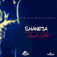 artist-cover