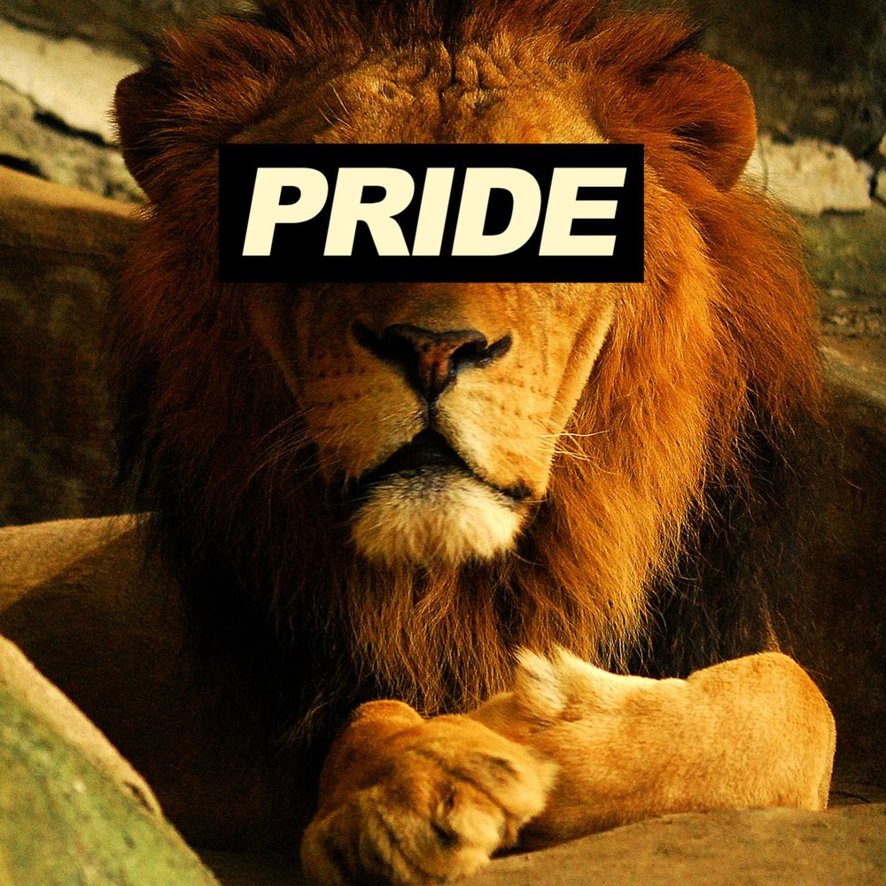 Pride Лев. Лев рок. Lions' Light Ноа. Лев музыка.