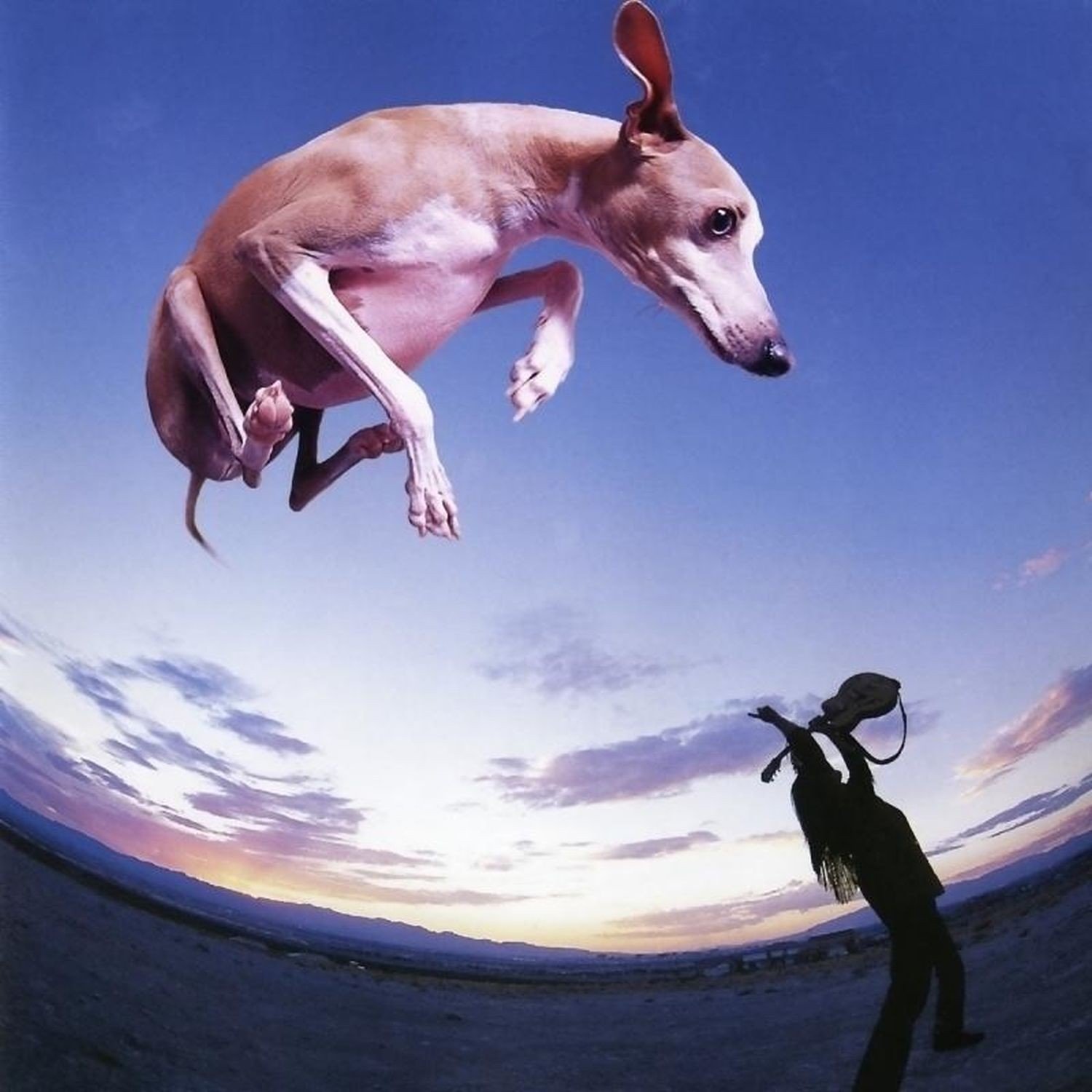 Paul Gilbert