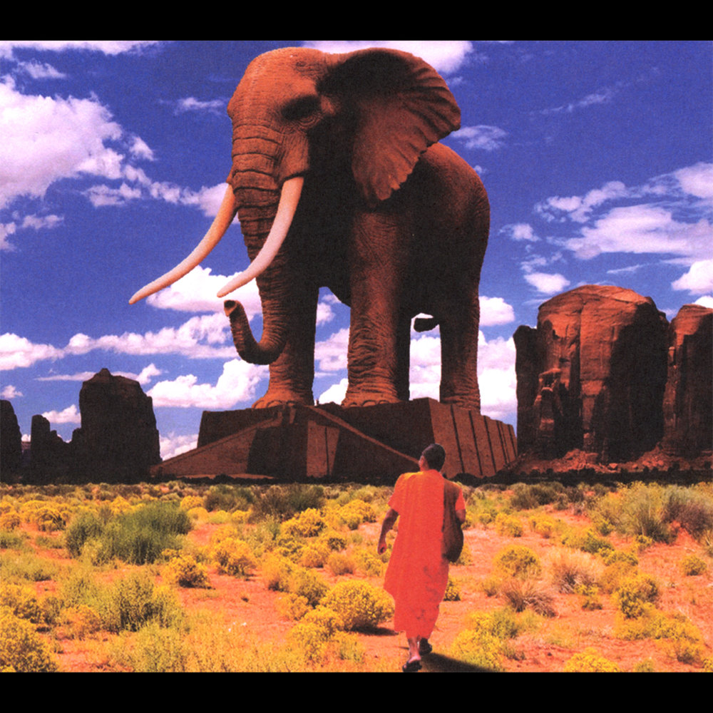 Самый тяжелый слон. Слон Йоси. Огромный слон. Самый большой слон. Огромные слоны.