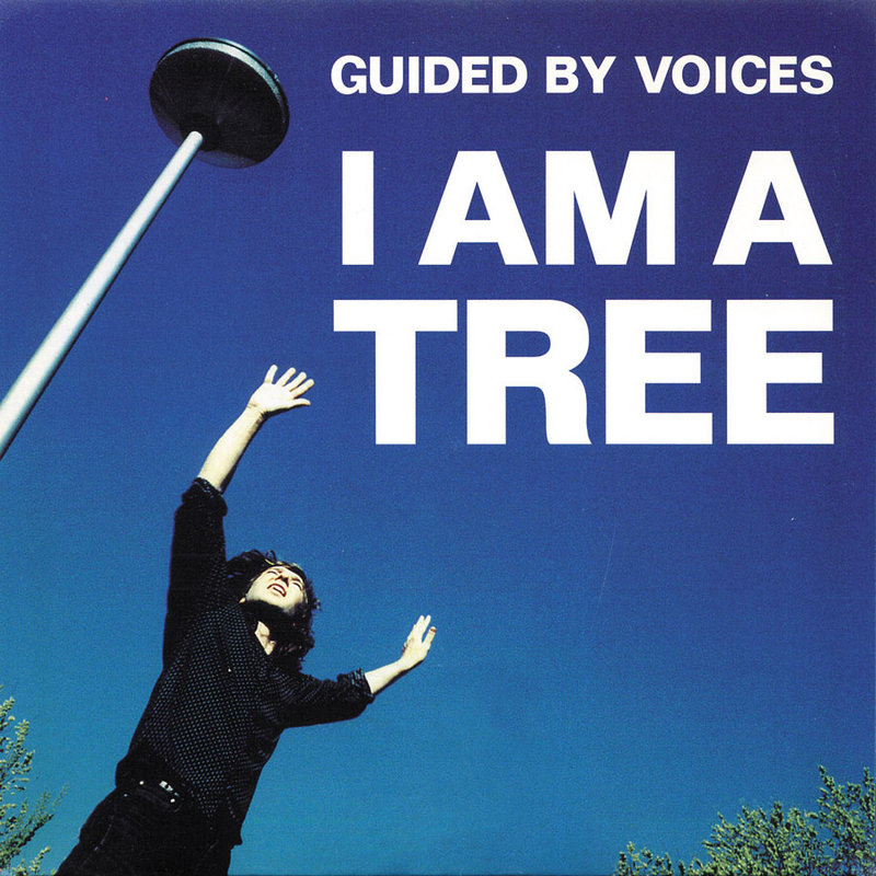 I can voices. Guided by Voices. Don't listen to the Voices. Voicesinmetheycontrolme.