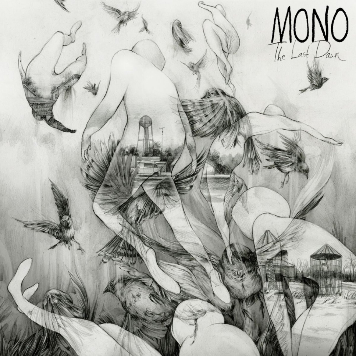 Mono