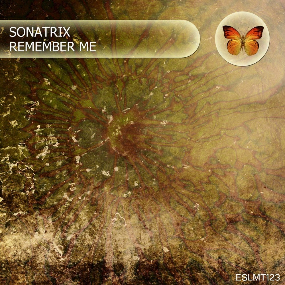 Remember me постер. Listen to remember me. Remember me dontnod entertainment. Step-one last. Певец.