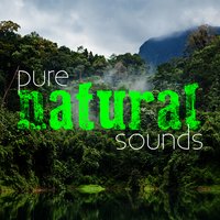 Soothing Sounds