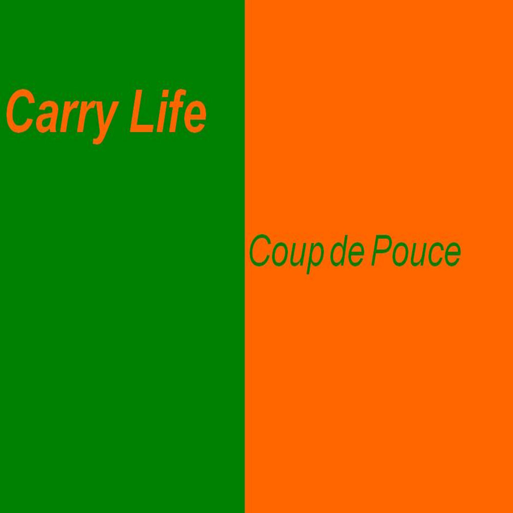 Carry life