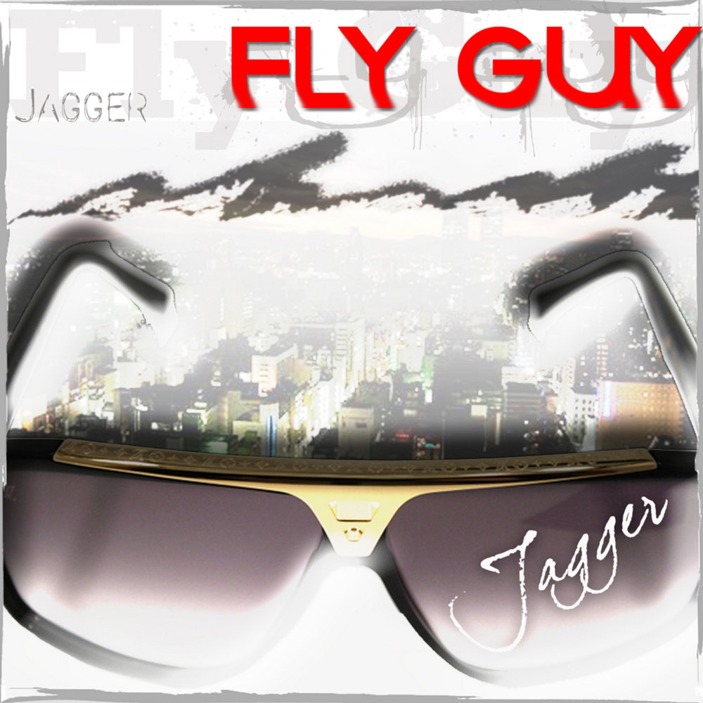 Fly guys. Fly guy. Flying guys.