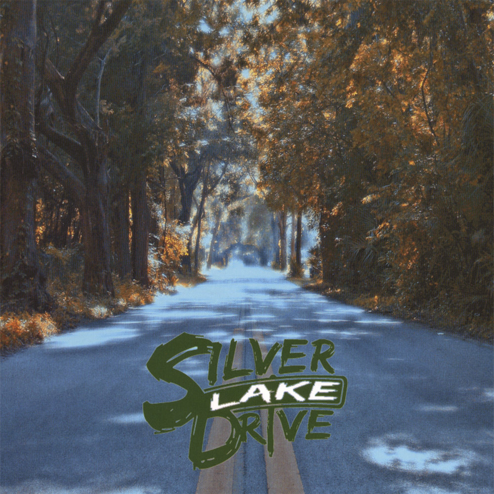 Lake drive. Лейк драйв. Ray Silvers — Drive. Drive and listen.