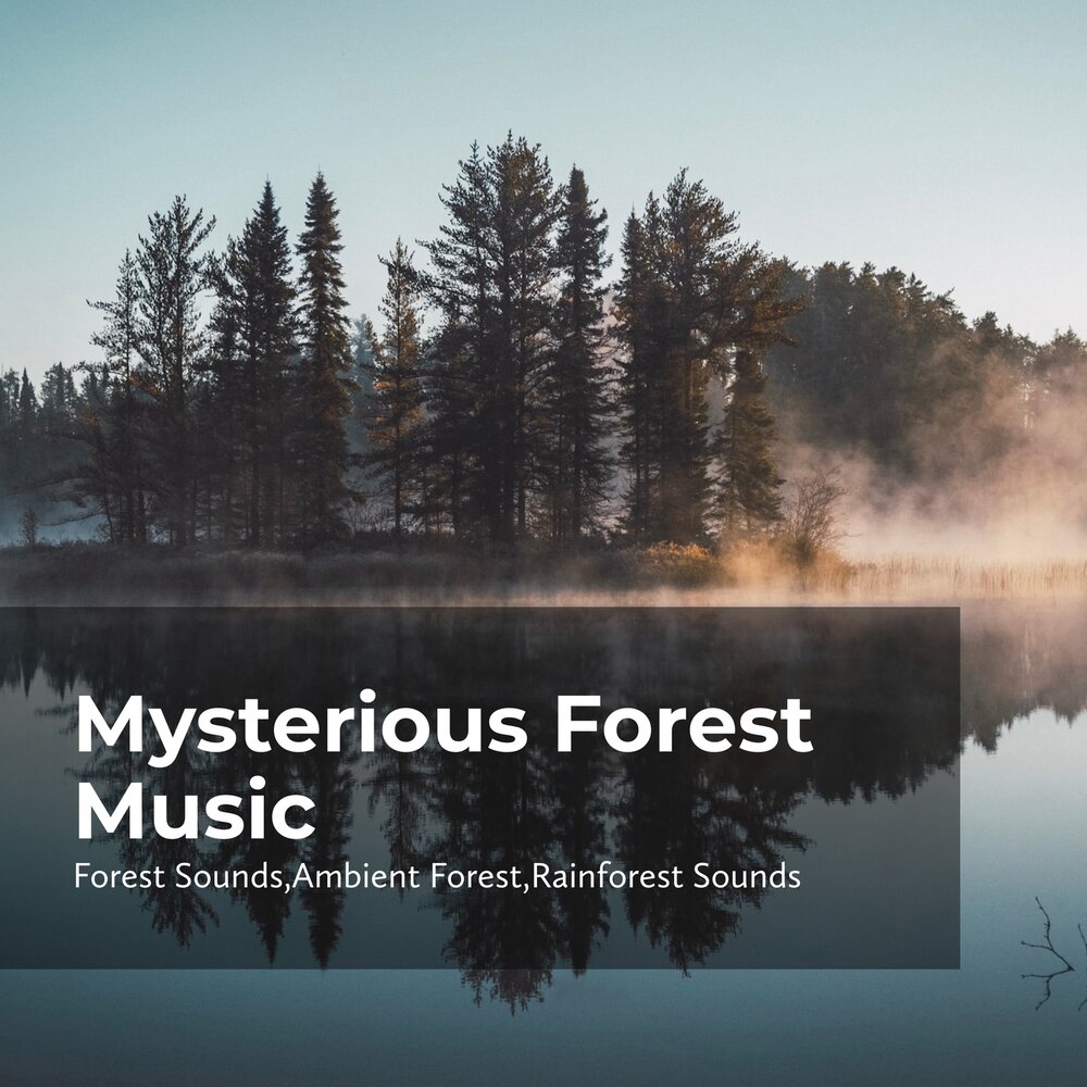 Мод ambientsounds. Северный лес Ambient. Ambient Sounds мод. Мод Sound Ambient Sounds. Реакция на Sounds of the Forest.