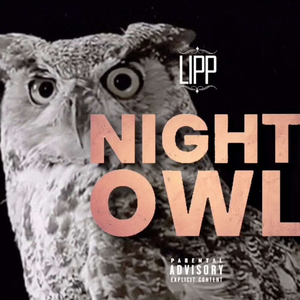 Owl перевод. Owl исполнитель. Песни Owl. Night Owl Song. Tika Owl.