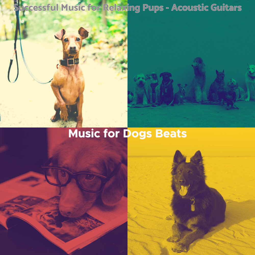 Dog beats. кот битмейкер. Dog beats. гангста пиг. Dog beats.