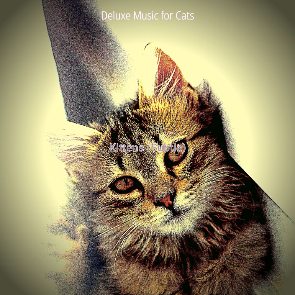 Хорошие звуки для кошек. Кошки высший. Альбом кошка. Расслабленная кошка. Звук кошки.
