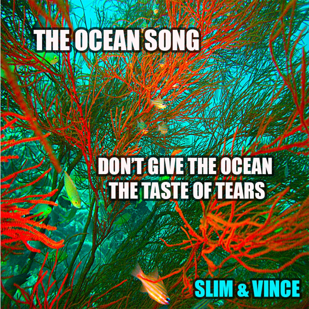 Минус песни океанами. Ocean песня. Ocean Song. Оушен Сонг Ocean Song. Хорошая песня Slim.