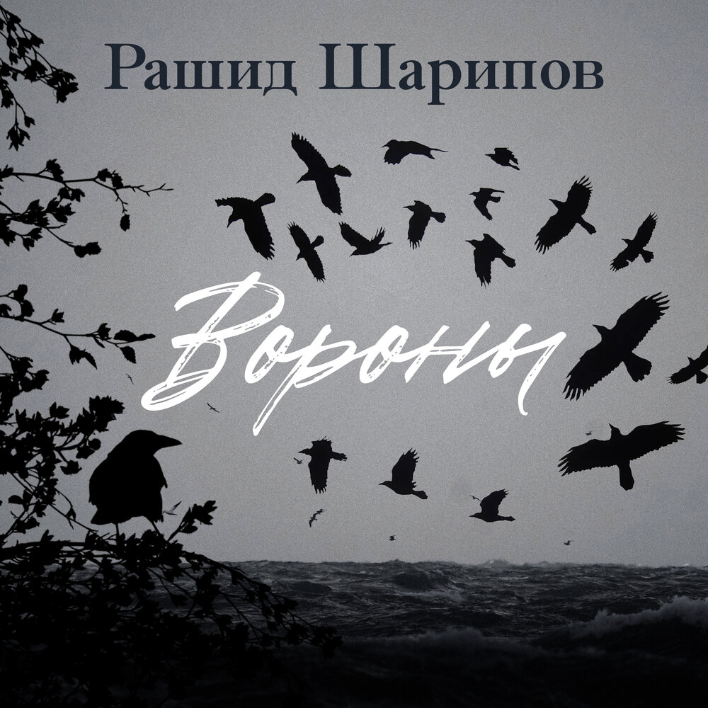 Вороны слушать. Вороны песня. Чёрные вороны песня. Рашид Шарипов песни. Слушать черные вороны 10.