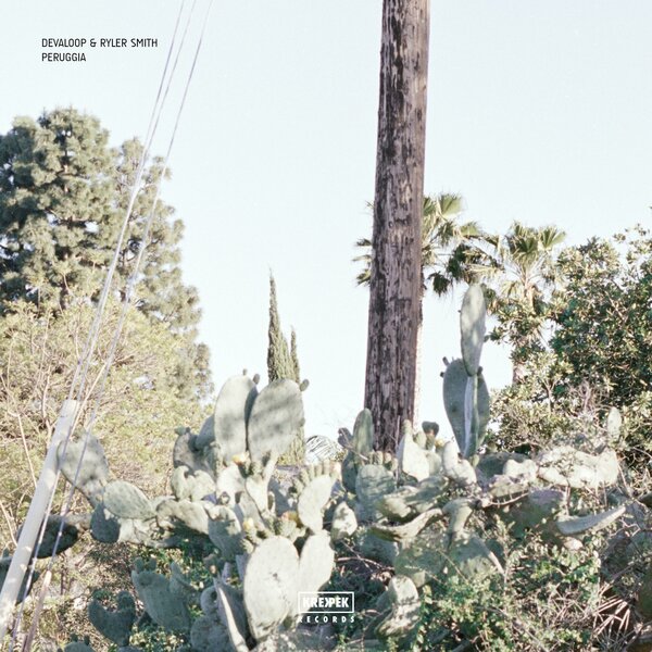 track-cover