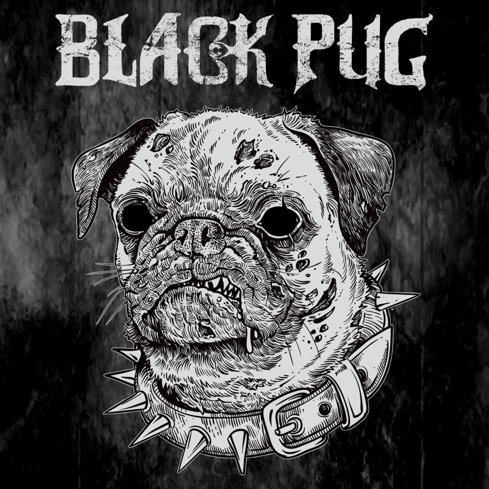 black pug