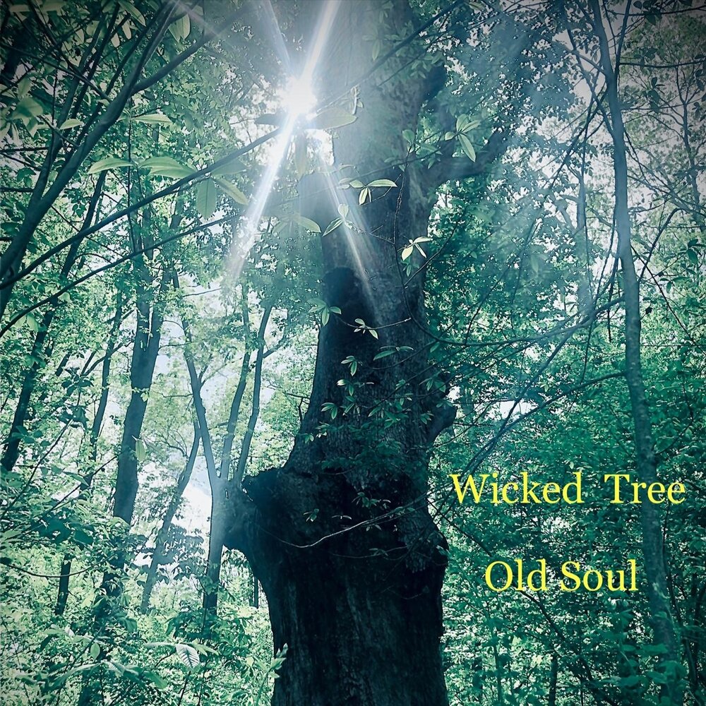 Tree of Souls. Profaned_Soul. Слушает дерево.