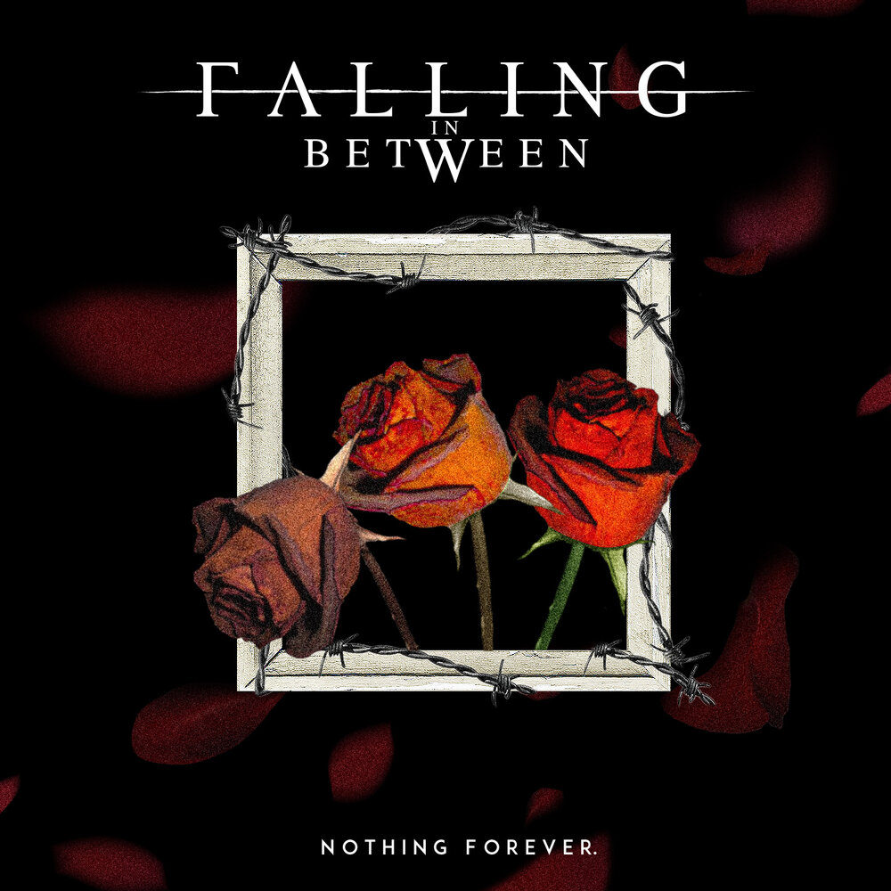 Nothing is forever. Between Nothingness & Eternity. Nothing Forever. Песня Falling Forever. Песня Fall Forever.