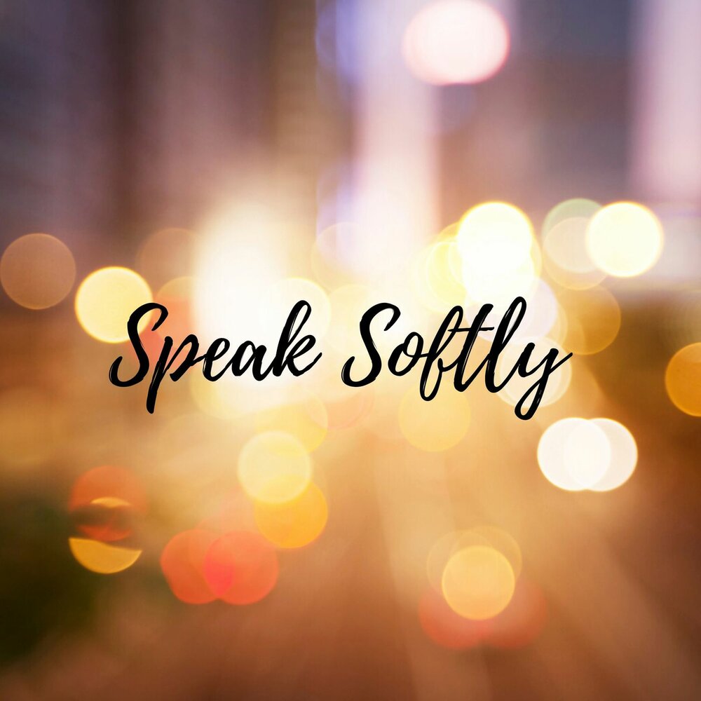 Quietly spoken. Speak quietly.