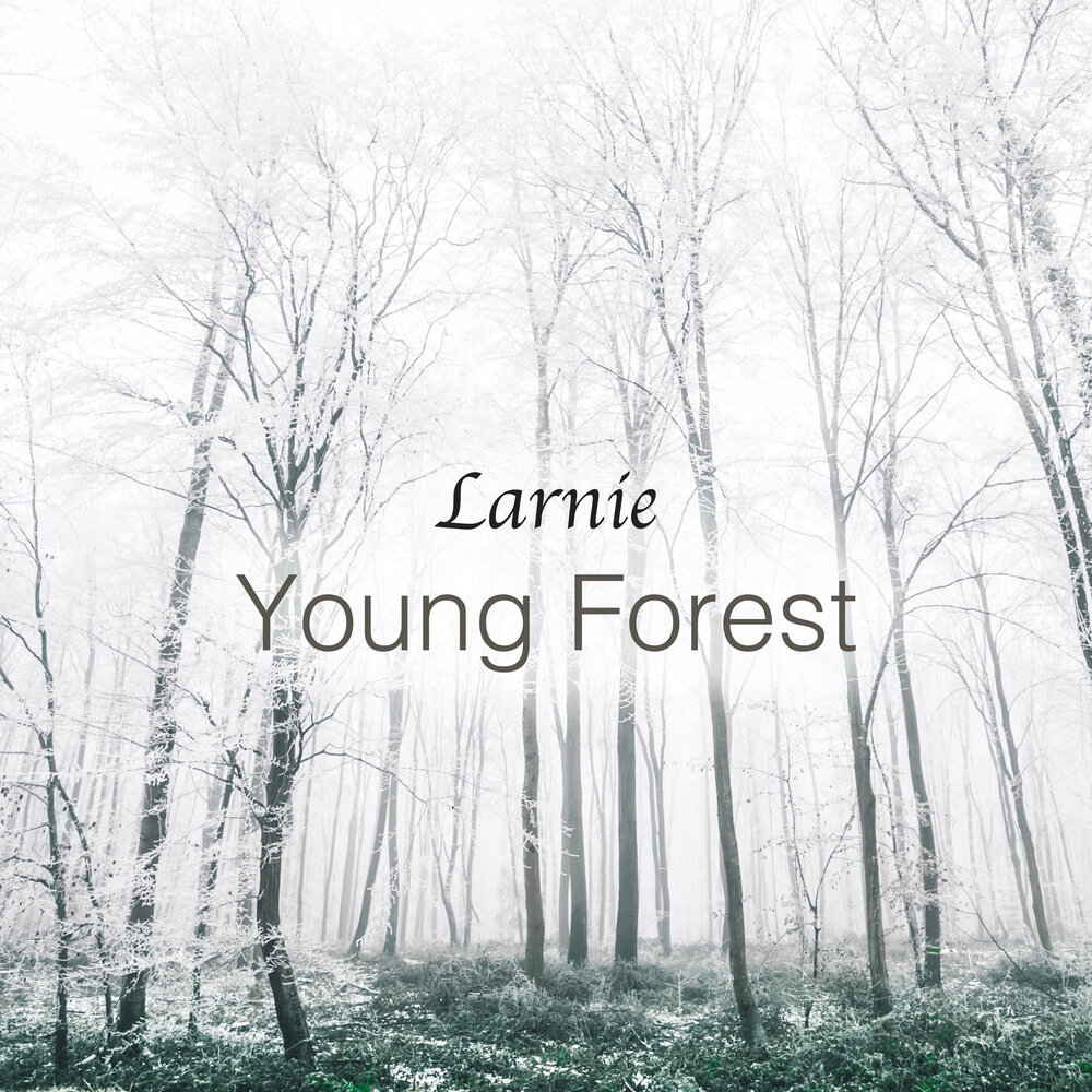 Young forest