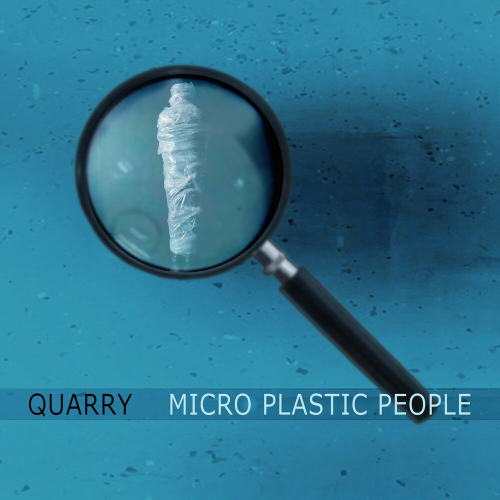 Песни микро. In people Plastic. The Quarry музыка. Ingestion of Micro Plastics.