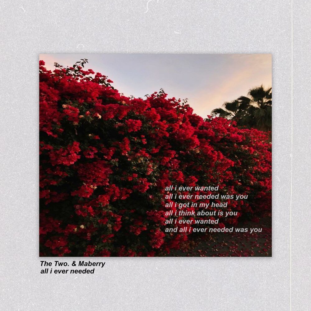 All i ever wanted. All i ever wanted песня из рекламы iphone. All i wanted all i needed песня. Basshunter all. Want ever.