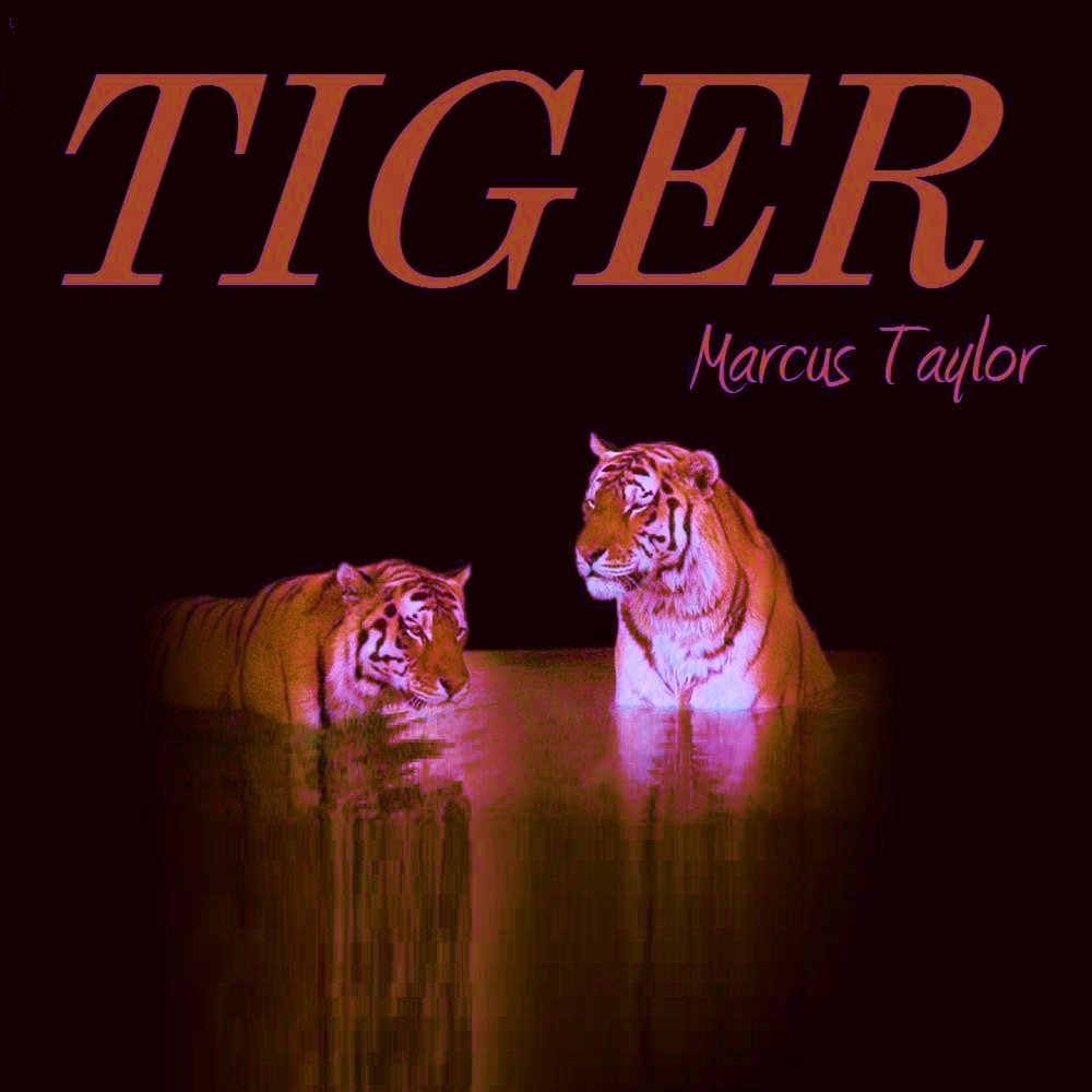 Тайгер слушать. Альбом с тигром. Группа Tigers фотоальбомов обложка. Тематический альбом тигр. Руфус Тайгер Тейлор.