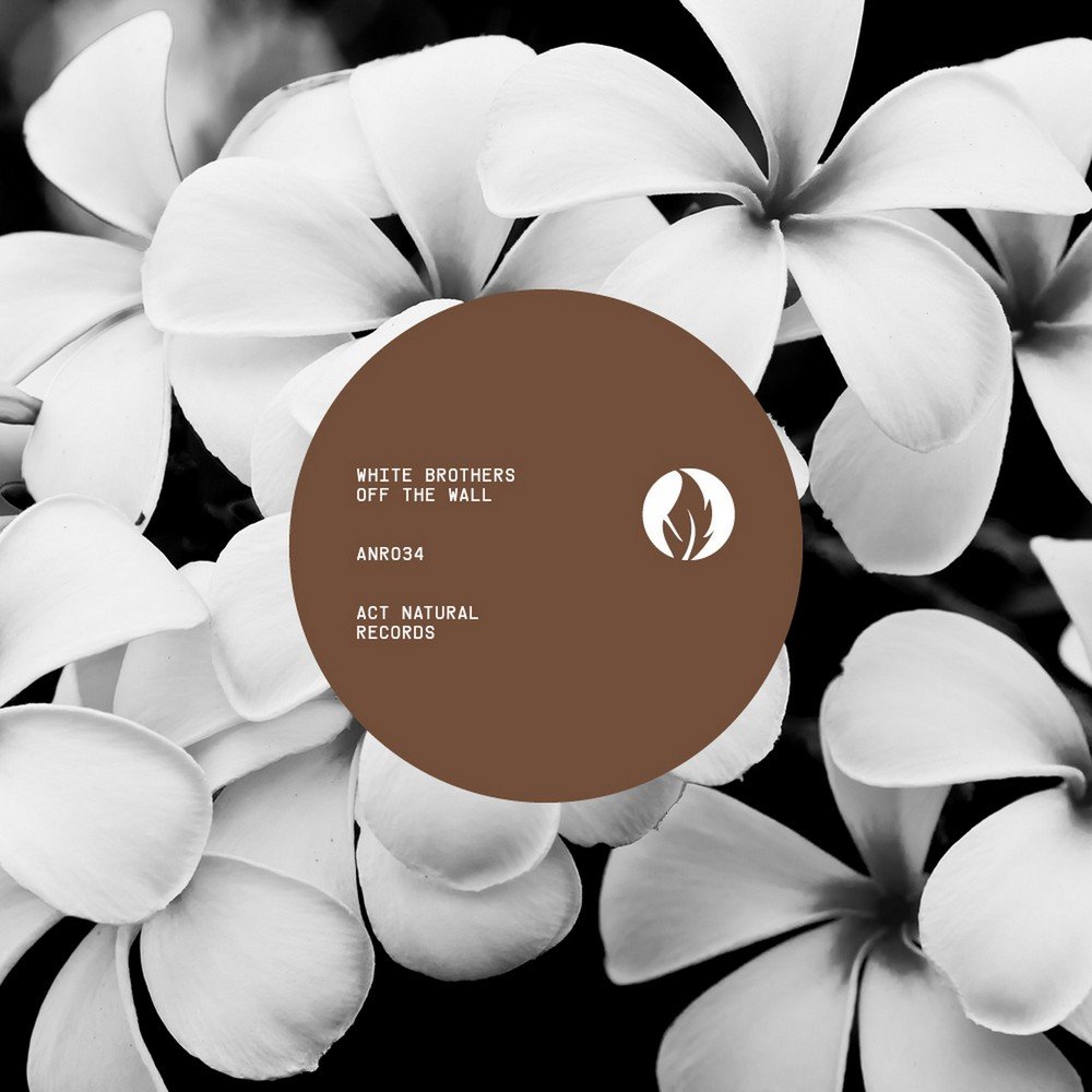 Single white. Walls (Original Mix) capa. Natural record.